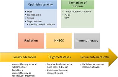 Radiotherapy and Immunotherapy for Head and Neck Cancer: Current Evidence and Challenges